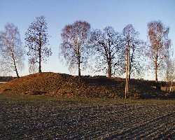 Halvdanshaugen